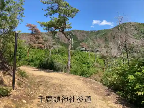 千鹿頭神社(長野県)