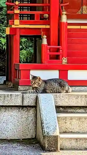 白金氷川神社の動物