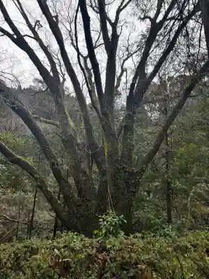 天安河原宮(宮崎県)