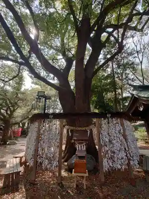 平塚八幡宮(神奈川県)