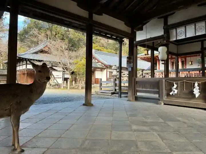 手向山八幡宮の{uncategorized: "未分類", other: "その他", undefined: "問題あり", building: "その他建物", grave: "お墓", sacred_gate: "鳥居", guardian: "狛犬", statue: "像", buddha: "仏像", history: "歴史", nature: "自然", garden: "庭園", animal: "動物", pagoda: "塔", temizu: "手水舎", mountain_gate: "山門・神門", sanctuary: "本殿・本堂", subordinate: "末社・摂社", art: "芸術", scenery: "景色", jizo: "地蔵", ema: "絵馬", goshuin: "御朱印", omikuji: "おみくじ", items: "授与品その他", amulet: "お守り", goshuincho: "御朱印帳", eats: "食事", festival: "お祭り", votive_dance: "神楽", shichigosan: "七五三参", wedding: "結婚式", experience: "体験その他", initially: "初詣", around: "周辺", anti_infection: "感染症対策"}