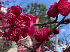 荒井神社の自然