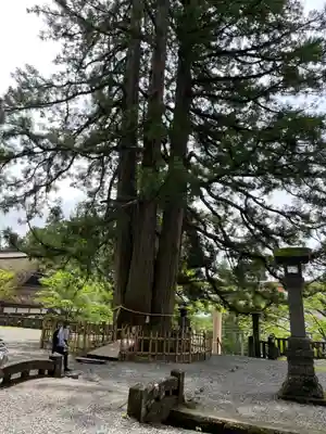 戸隠神社中社(長野県)