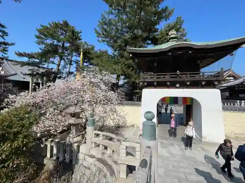 善通寺(香川県)