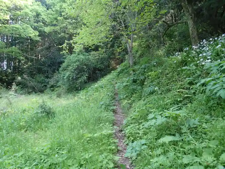 阿太賀都健御熊命神社の自然