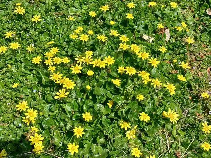 龍尾神社(静岡県)