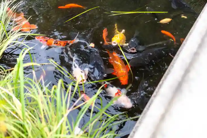 彦島八幡宮(山口県)