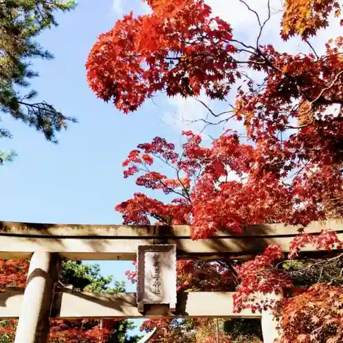 彌彦神社　(伊夜日子神社)の自然