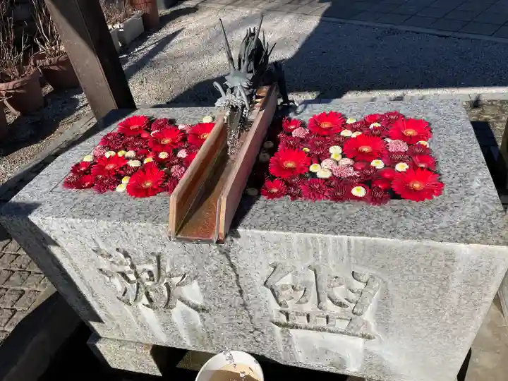 川越八幡宮(埼玉県)