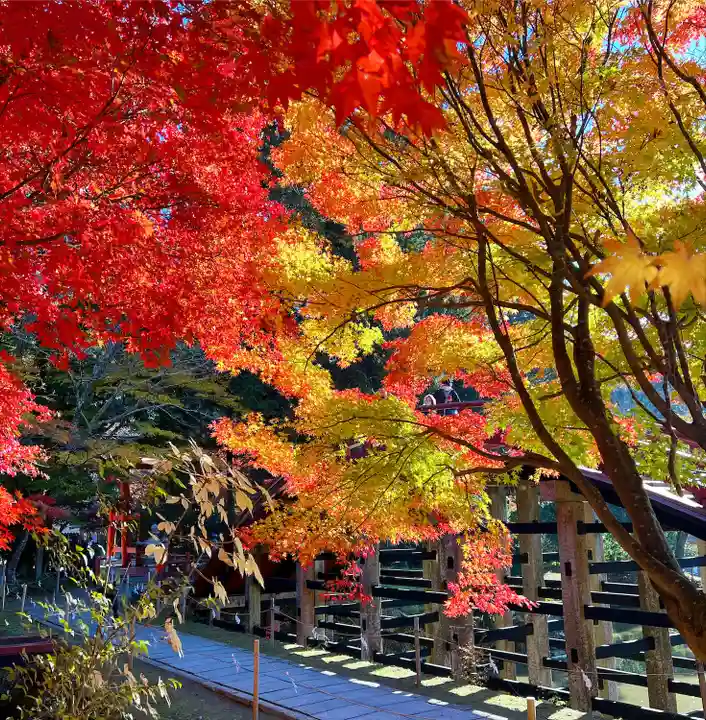 丹生都比売神社(和歌山県)