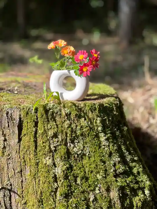 須山浅間神社(静岡県)