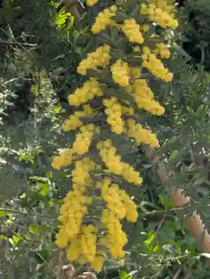 天徳寺(神奈川県)