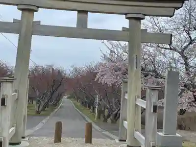 石崎地主海神社の鳥居