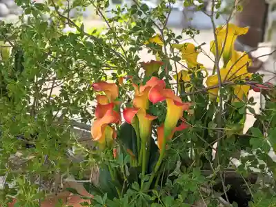 三津厳島神社(愛媛県)