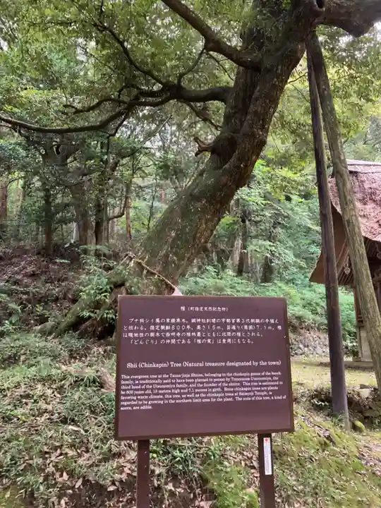 綱神社(栃木県)