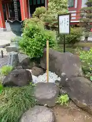 善導寺の建物その他