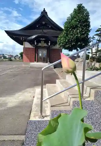 雨竜　専福寺(北海道)
