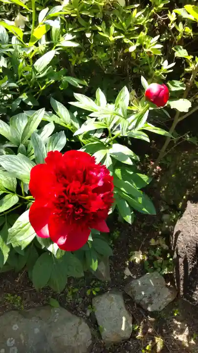 石光寺(奈良県)
