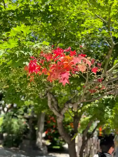 三輪神社(愛知県)