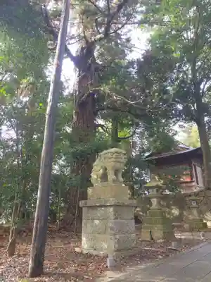春日神社の狛犬