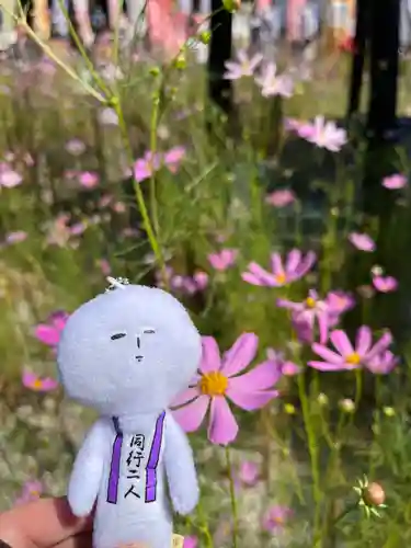 井際山 如意輪寺(愛知県)