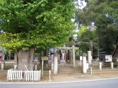 八坂神社(千葉県)