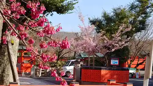 車折神社の自然