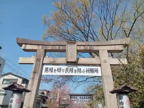 安井金比羅宮の鳥居