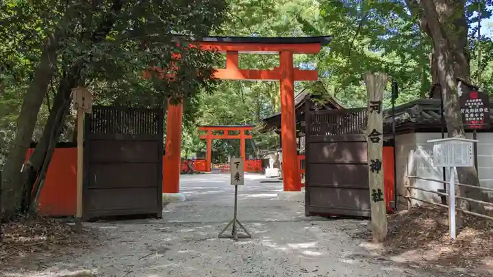 河合神社(鴨川合坐小社宅神社)の鳥居
