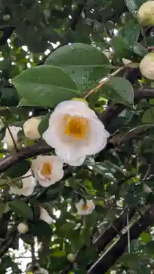 城南宮(京都府)