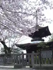 大樹寺（松安院大樹寺）の塔