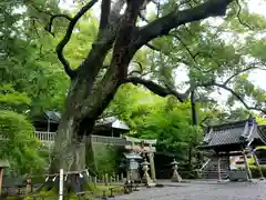 事任八幡宮の景色