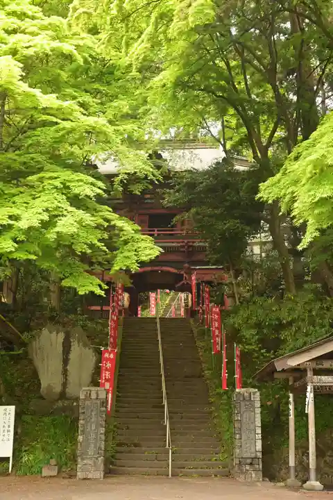 水澤寺(水澤観世音)(群馬県)