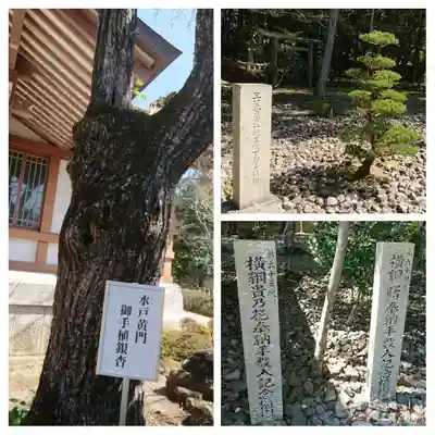 多田神社(兵庫県)