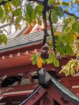 秋葉神社(東京都)
