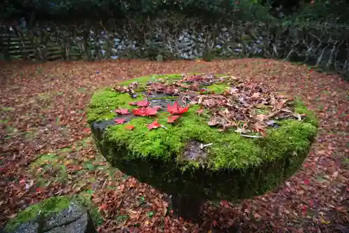 鰐淵寺の庭園