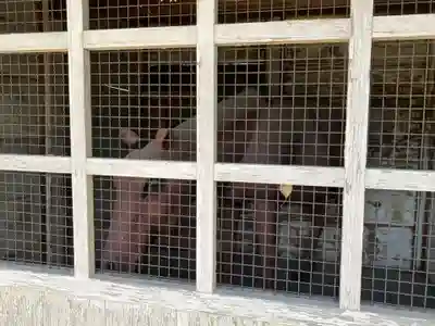 竹鼻八剱神社(八剣神社)(岐阜県)