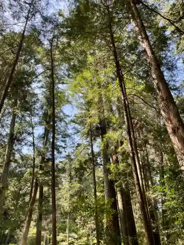 小國神社の{uncategorized: "未分類", other: "その他", undefined: "問題あり", building: "その他建物", grave: "お墓", sacred_gate: "鳥居", guardian: "狛犬", statue: "像", buddha: "仏像", history: "歴史", nature: "自然", garden: "庭園", animal: "動物", pagoda: "塔", temizu: "手水舎", mountain_gate: "山門・神門", sanctuary: "本殿・本堂", subordinate: "末社・摂社", art: "芸術", scenery: "景色", jizo: "地蔵", ema: "絵馬", goshuin: "御朱印", omikuji: "おみくじ", items: "授与品その他", amulet: "お守り", goshuincho: "御朱印帳", eats: "食事", festival: "お祭り", votive_dance: "神楽", shichigosan: "七五三参", wedding: "結婚式", experience: "体験その他", initially: "初詣", around: "周辺", anti_infection: "感染症対策"}