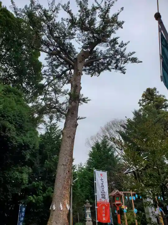 滑川神社 - 仕事と子どもの守り神(福島県)