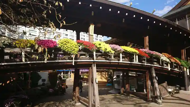 湯島天満宮のその他建物