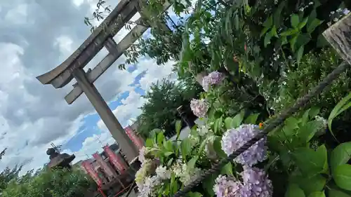 六孫王神社(京都府)