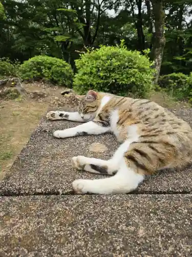 玉野御嶽神社(愛知県)