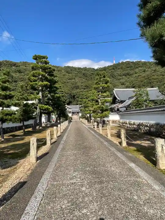 真作/三井大心/観音画賛/臨済宗/岐阜瑞龍寺/仏事掛軸/掛軸☆宝船