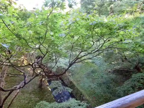 東福禅寺（東福寺）の自然