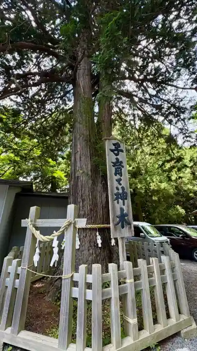 新倉富士浅間神社(山梨県)