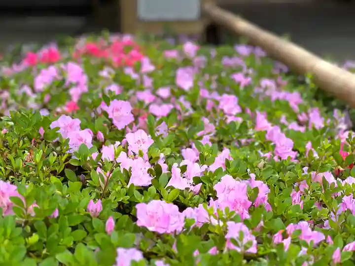 白蓮坊のその他建物