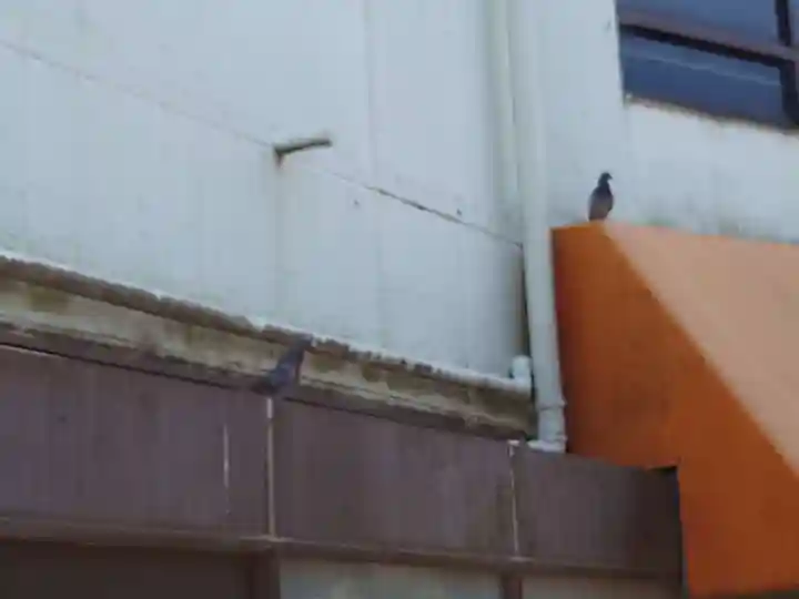 石清水八幡宮(京都府)