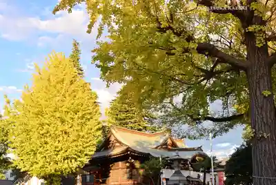 尾久八幡神社(東京都)