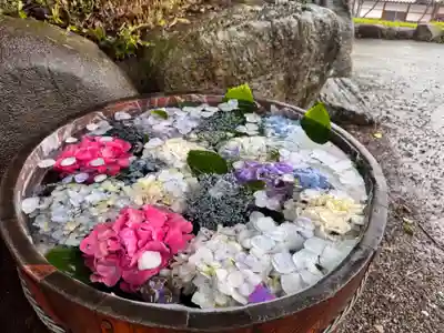 長慶寺(大阪府)
