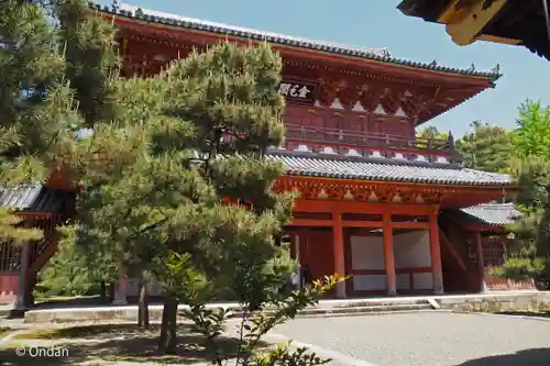 大徳寺(京都府)